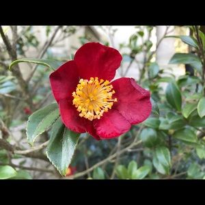 Meet your Posher, Dean